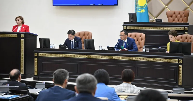 Депутаты Сената рассмотрели закон об амнистии