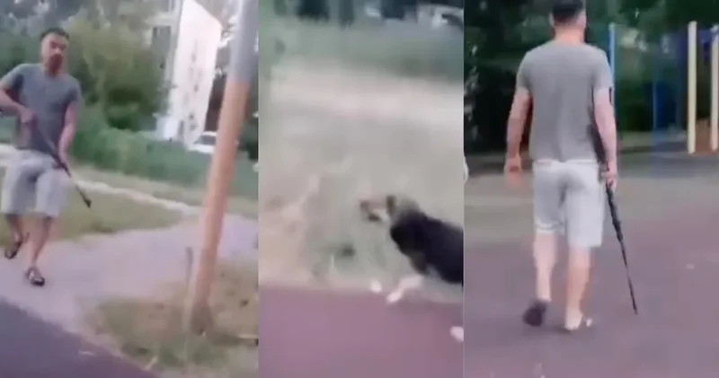Оралда ер адамдар балалар алаңында иттерді атып кеткен