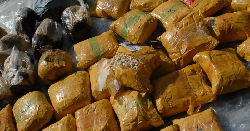 Қазақстанда шетелдік куратор басқарған есірткі желісі әшкереленді