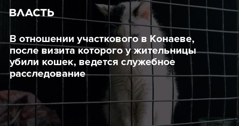 В отношении участкового в Конаеве, после визита которого у жительницы убили кошек, ведется служебное расследование Аналитический интернет журнал Власть