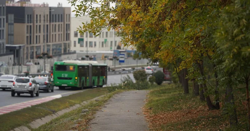 Дождь и похолодание до 3 градусов обещают в Алматы на этой неделе