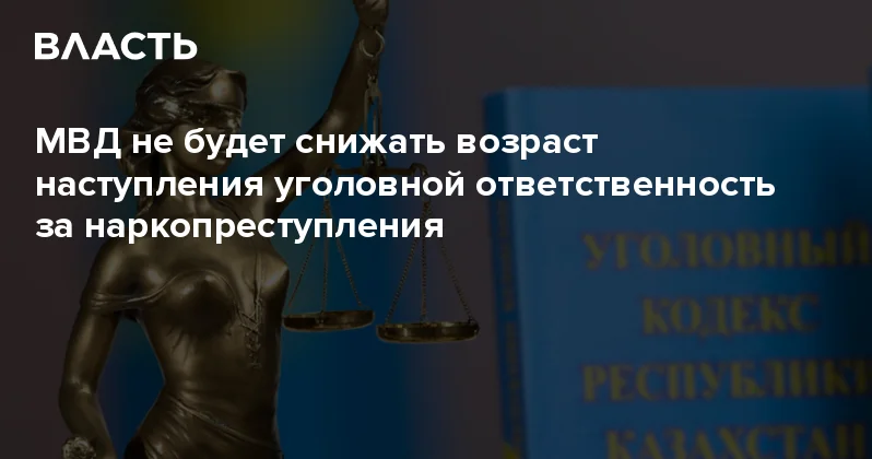 МВД не будет снижать возраст наступления уголовной ответственность за наркопреступления Аналитический интернет журнал Власть