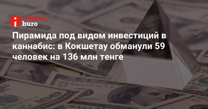 Пирамида под видом инвестиций в каннабис: в Кокшетау обманули 59 человек на 136 млн тенге