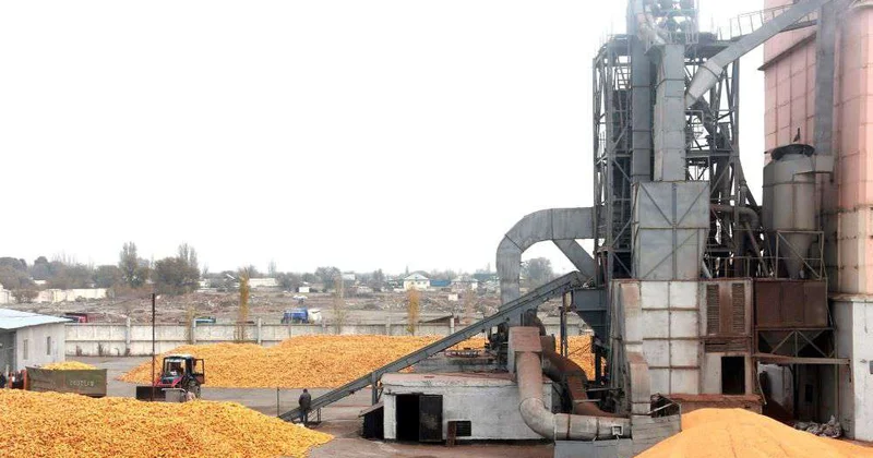 Стартуют крупные агропроекты