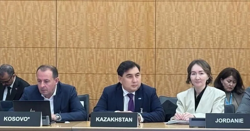 AI навыки для госслужащих и Адал азамат : Казахстан выступил во Франции на ОЭСР