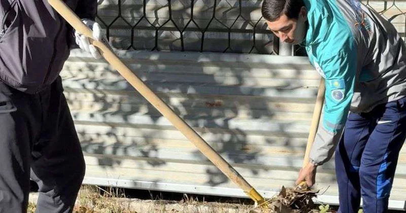 Сохранить город чистым и зеленым