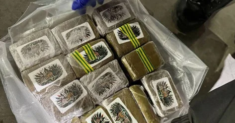 Крупнейшая в истории страны партия наркотиков изъята в Беларуси