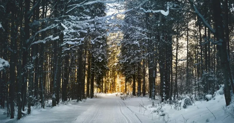 Прогноз погоды на 14 декабря: снег, метели и сильный ветер ожидаются в ряде регионов Казахстана