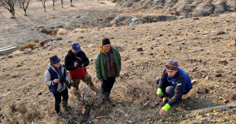 Найти и сохранить