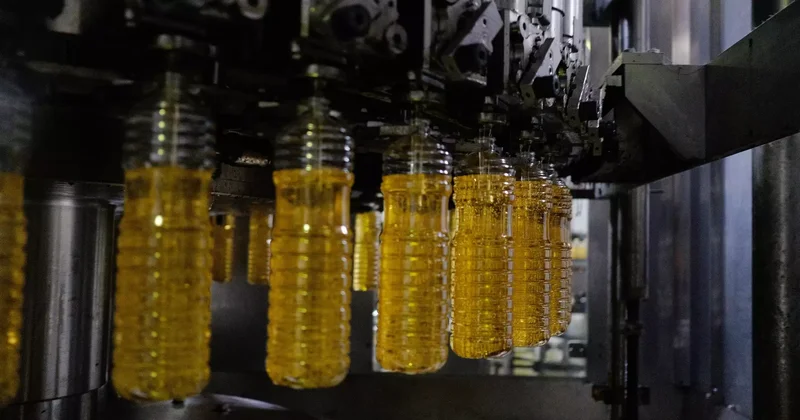 Шығыс Қазақстан облысында май өндіретін жаңа зауыт ашылды