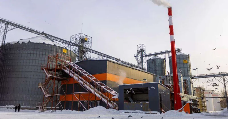 Маслоэкстракционный завод открыли в ВКО