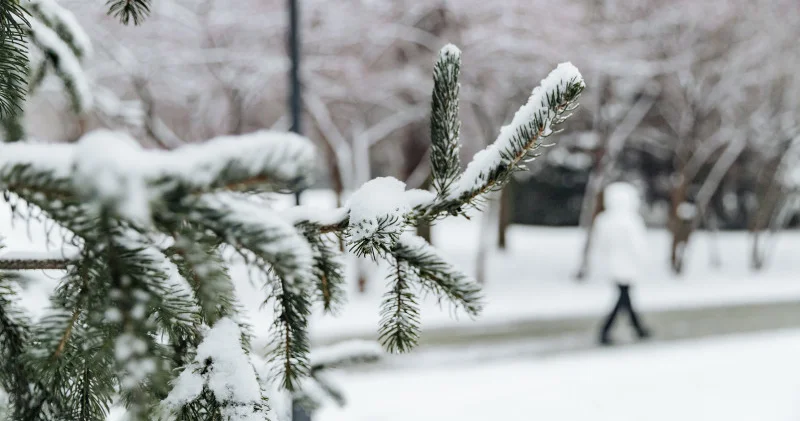 Астана мен Алматыда аяз болады