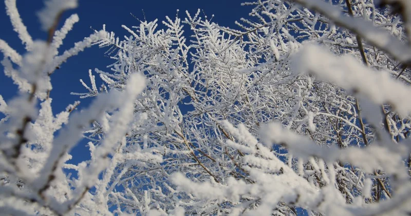 Арктическое вторжение: 40 градусные морозы надвигаются на Казахстан