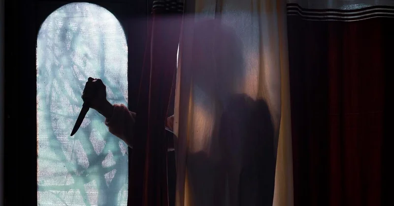 Удар ножом при попытке кражи привел к убийству в Павлодарской области