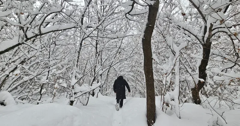 15 17 қаңтар: Алматыға қар жауады, ал Астана мен Шымкентте жаңбыр мен тұман күтіледі