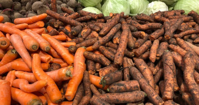 Сәбіз экспортына салынған тыйым фермерлердің наразылығын тудырды Темір Қырықбаев