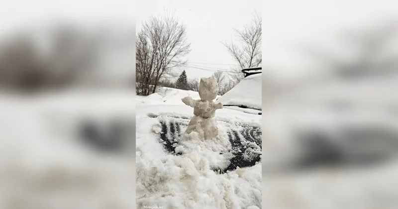 Выпал желтый и розовый снег : жители Усть Каменогорска вновь жалуются на экологию