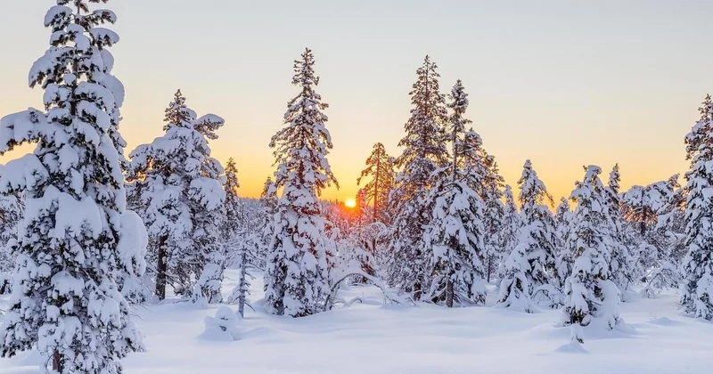40 градусные морозы и сильный снег пообещали в Казахстане в ближайшие дни