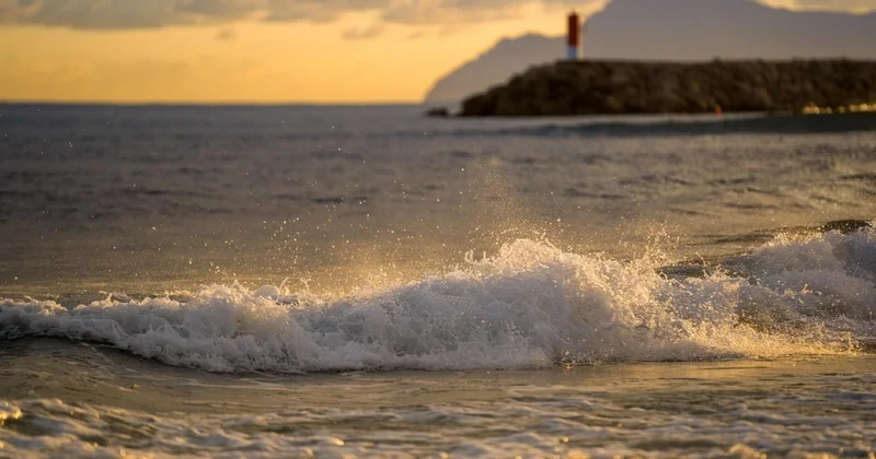 В сети обсуждают результаты восстановления Аральского моря Казахстаном