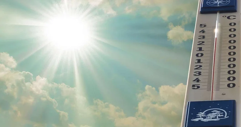 В ЕС 2025 год стал одним из самых жарких в истории