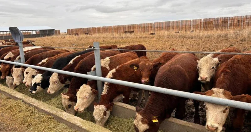 Елде Мал өсірушілер одағы өз жұмысын бастады
