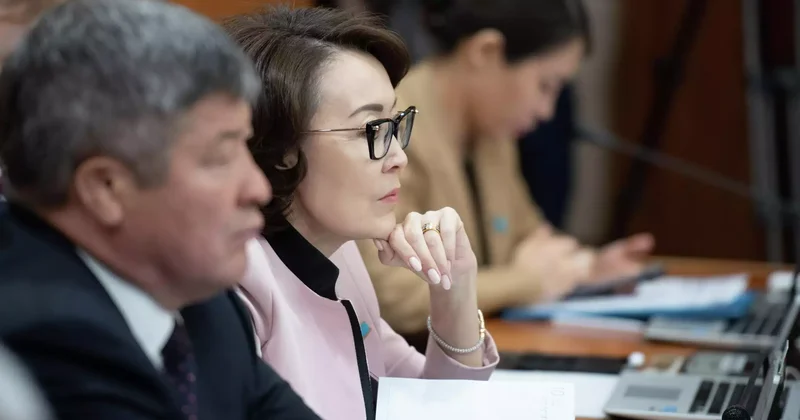 Мәжілісте Roblox ойынын бұғаттау мәселесі көтерілді