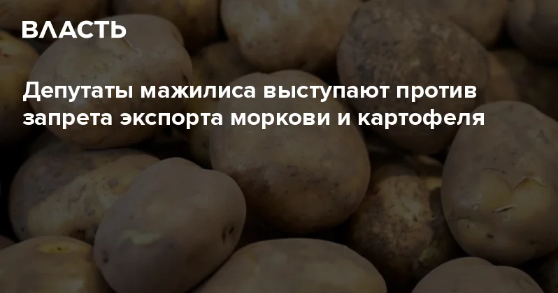 Депутаты мажилиса выступают против запрета экспорта моркови и картофеля Аналитический интернет журнал Власть