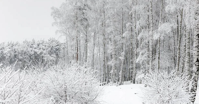 Қазақстанда алдағы күндері ауа райы құбылмалы болады