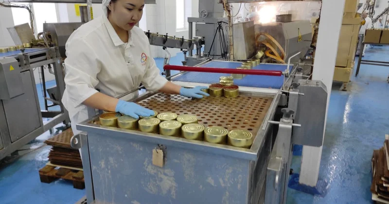 Налажен выпуск консервов из мяса сайгака