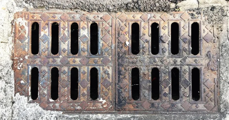 Жирберг размером с четыре автобуса блокирует канализацию Сиднея