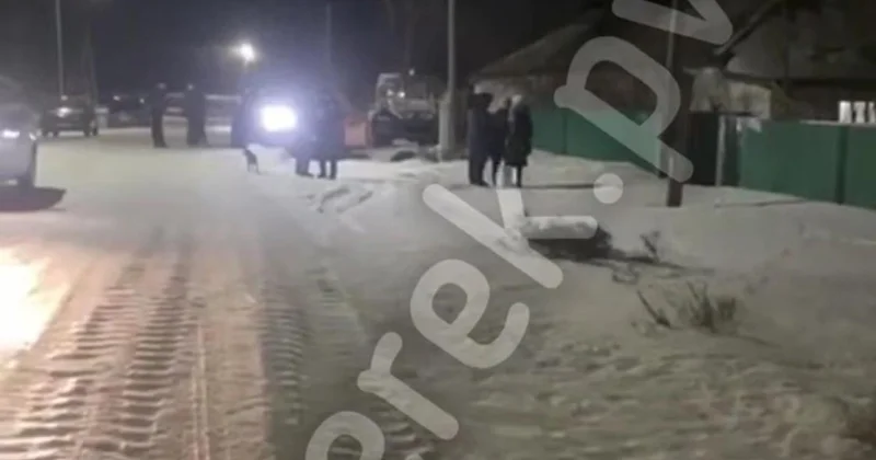 Тела двух человек спустя долгое время после их смерти обнаружили в Павлодарской области