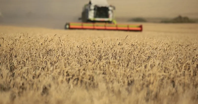 Форс мажор на миллионы