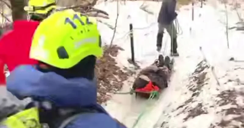 67 летнюю туристку с травмой эвакуировали с высоты более 2000 метров в Алматы