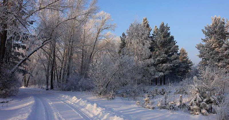 Помогут защитить природу
