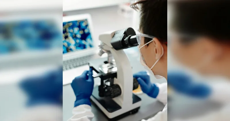 Итоги года под микроскопом