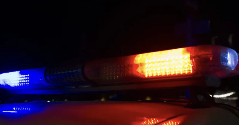 Павлодар облысында ұзақ уақыт жатқан екі мәйіт табылды