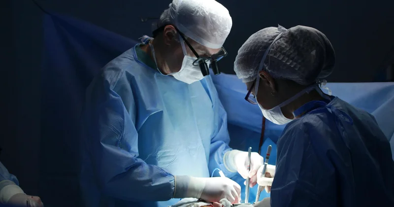 Солтүстік Қазақстанда донор үш пациенттің өмірін сақтап қалды