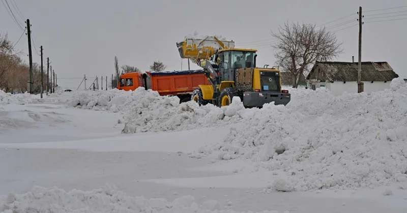 Ертіс Баян өңірінде боран салдарынан 300 ге жуық мал қырылып қалған