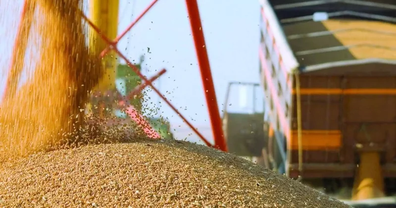 Ауыл шаруашылығы өнімдерінің көлемі 9,8 трлн теңгеге жетті