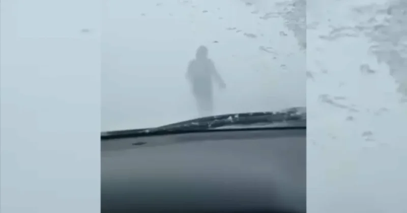 Учительница в одиночку вывела автоколонну из бурана на трассе в Павлодарской области