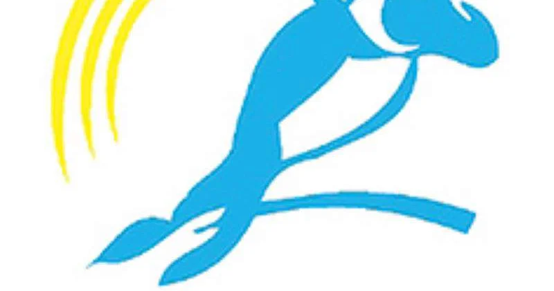 Серебряный шар у Кошкина