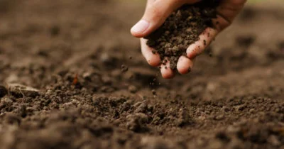 Жер қойнауын пайдаланушылардың сатып алуларындағы жергілікті қамту үлесі 65% ға жетті