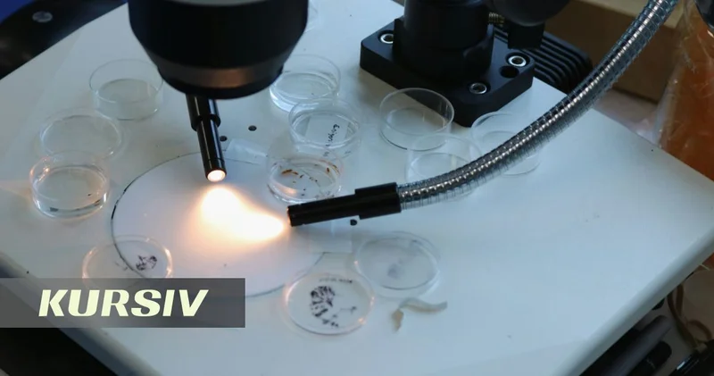 Hope and science: Can male infertility be cured?