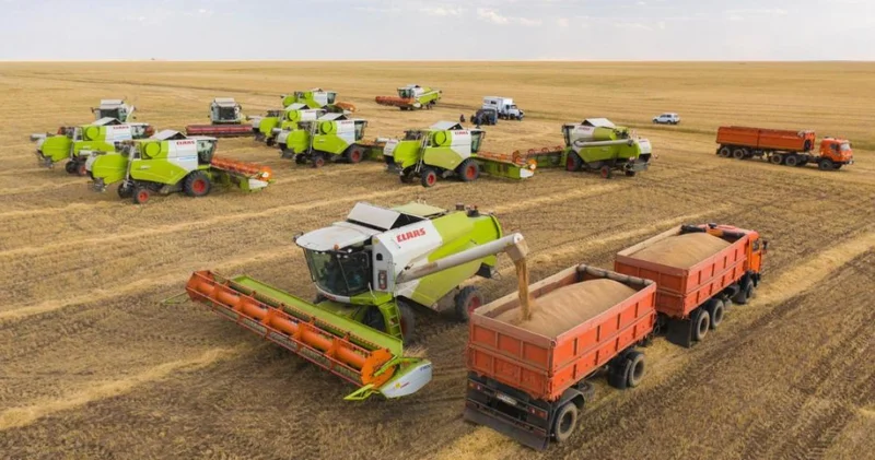 Қазақстан былтыр астық пен ұн экспортын 60% ға арттырды