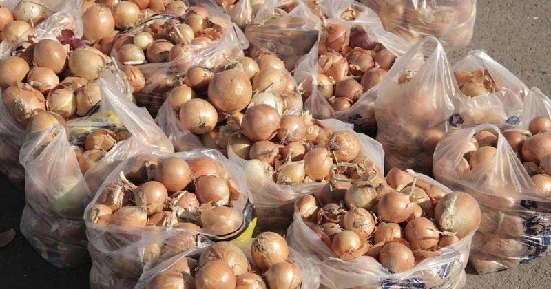 На пустом месте накручивают проблему ценовых накруток поднял Бектенов