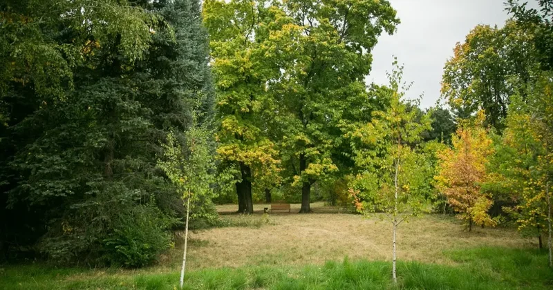 Алматының бас ботаникалық бағындағы тоғанға қоршау орнатылады