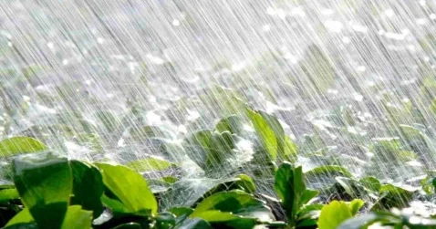 Сильные дожди пройдут на юго востоке Жамбылской области