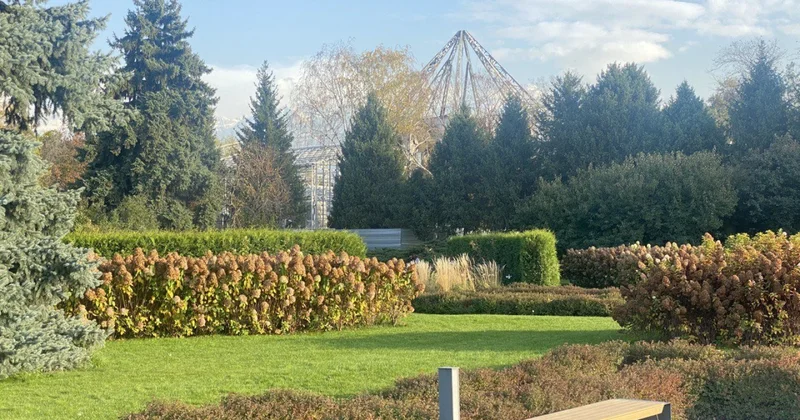 Купаются в пруду и ломают деревья: Ботсад Алматы ужесточает правила из за вандалов