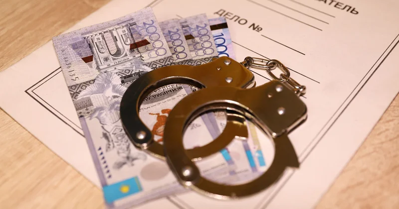 Волчица в овечьей шкуре