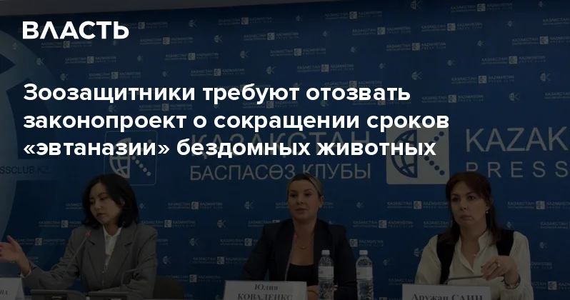 Зоозащитники требуют отозвать законопроект о сокращении сроков эвтаназии бездомных животных Аналитический интернет журнал Власть